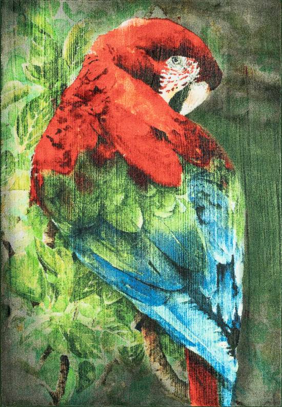 Детский ковер с ворсом Scarlet Macaw 01 Green