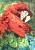 Детский ковер с ворсом Scarlet Macaw 01 Green