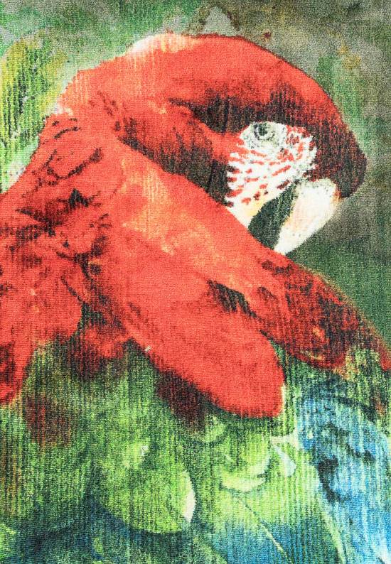 Детский ковер с ворсом Scarlet Macaw 01 Green